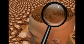 Loupe sur labyrinthe dans une tête