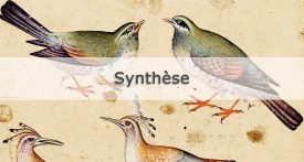 Le Cantique des oiseaux d Attar Diane de Selliers Editeur