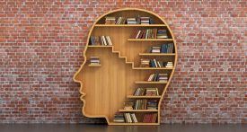 Bibliothèque sur mur de brique