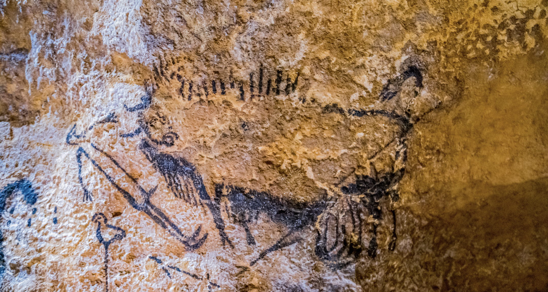 Ce silence qui d'or...