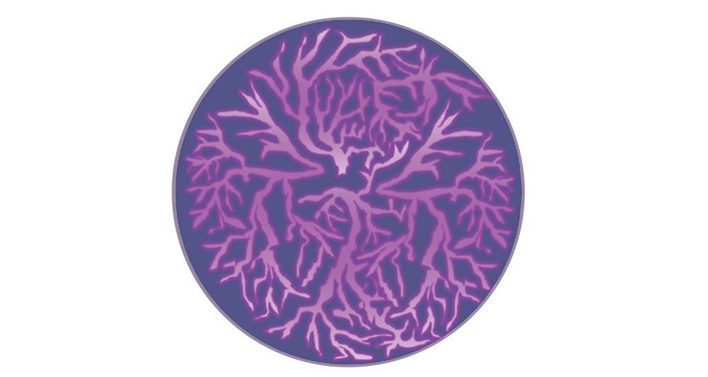 Conférence pratique de l'éthique